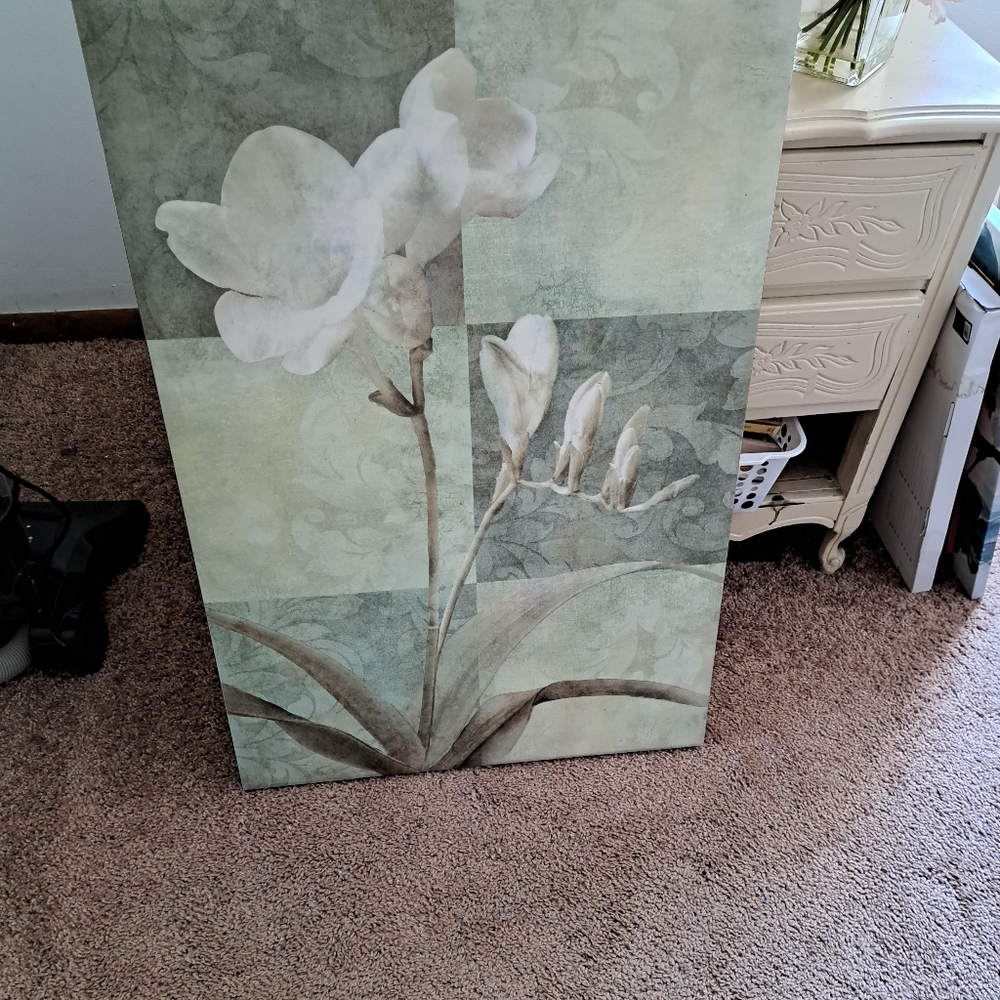 Kohls canvas pict
